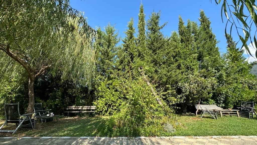 Green House Kvareli Bagian luar foto
